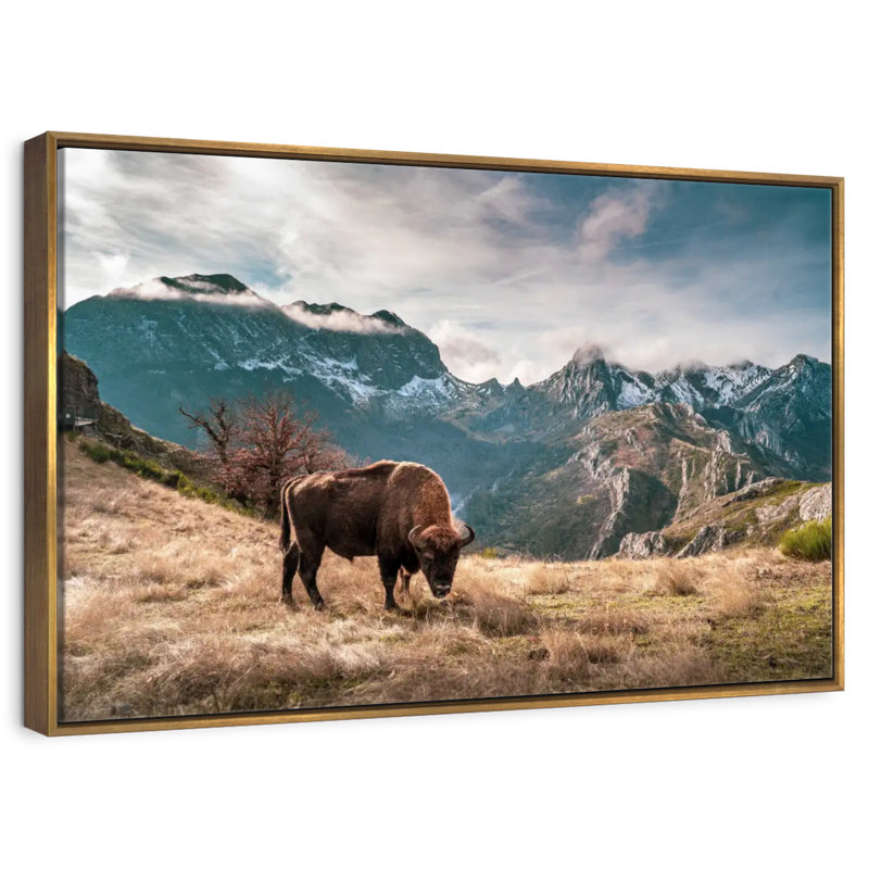 Paysage de montagne de bisons, Cadre flottant doré, 43 po x 29 po