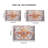 Area Rug  Vintage Bohemia Large Persian Non-Slip Washable Rug For Living Room Kitchen Bedroom Living Room Flower Design Amber-1374546337
