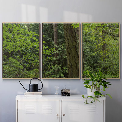 " Calm Of The Forest " 3 - Pieces Painting Print