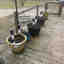 Customer photo 2 of 3