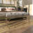 Dayzia Velvet Upholstered Bench-103101950-103101951