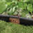 4.88 Ft. H x 0.75 Ft. W Polyethylene Plastic Fencing