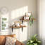 Tablettes murales flottantes
