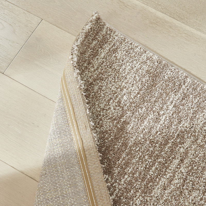 Plush Beige Area Rug, Rectangle 160 x 230 cm