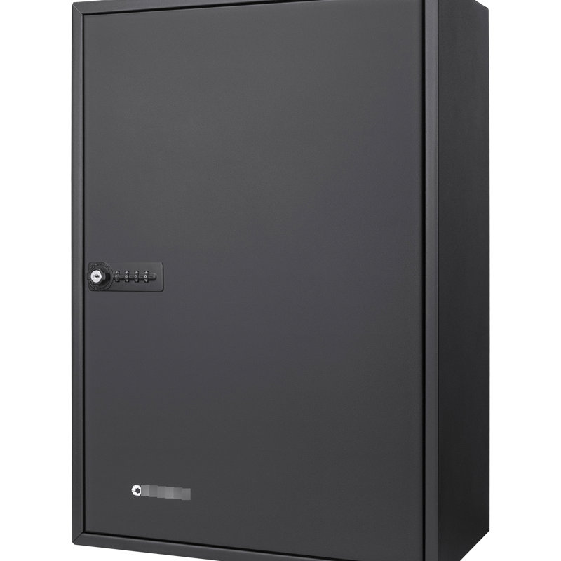 Armoire de rangement à clé réglable - 300 clés, serrure à combinaison, acier noir, fixation murale pour clés sécurisées avec étiquettes d'identification colorées