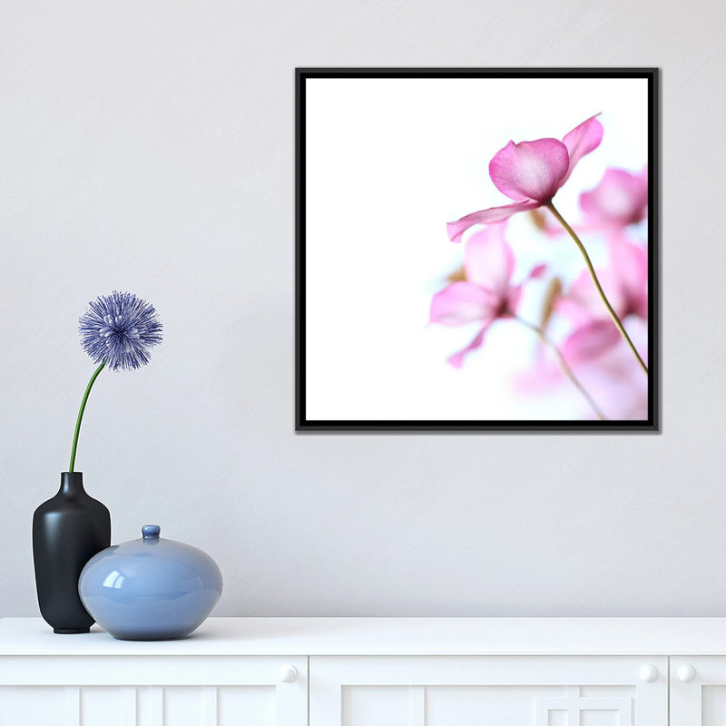 Clematis rose, impression sur toile, H 18 po x l 18 po x P 1,5 po, Toile encadrée noire, Pas de tapis
