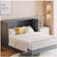 Lit escamotable double avec grand tiroir, gris-121069843-121069846