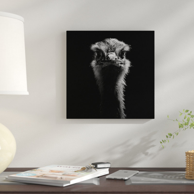 «Ostrich», reproduction de photo sur toile, H 12 po x l 12 po x P 0,75 po, Toile tendue, Pas de tapis
