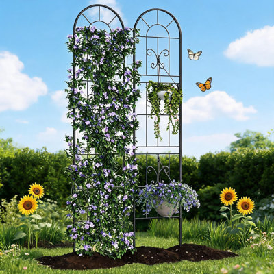 30cm W x 1cm D Metal Arbour in Black