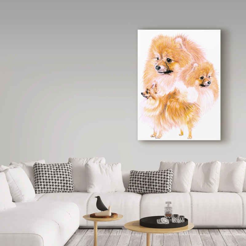 Adelphi Pomeranian Collage - impression sur toile tendue, H 19 po x l 14 po