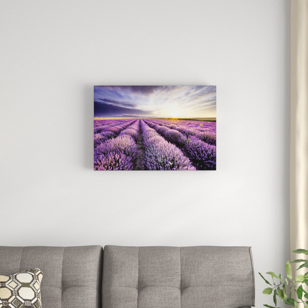 " Lavender Sunrise " Winston Porter