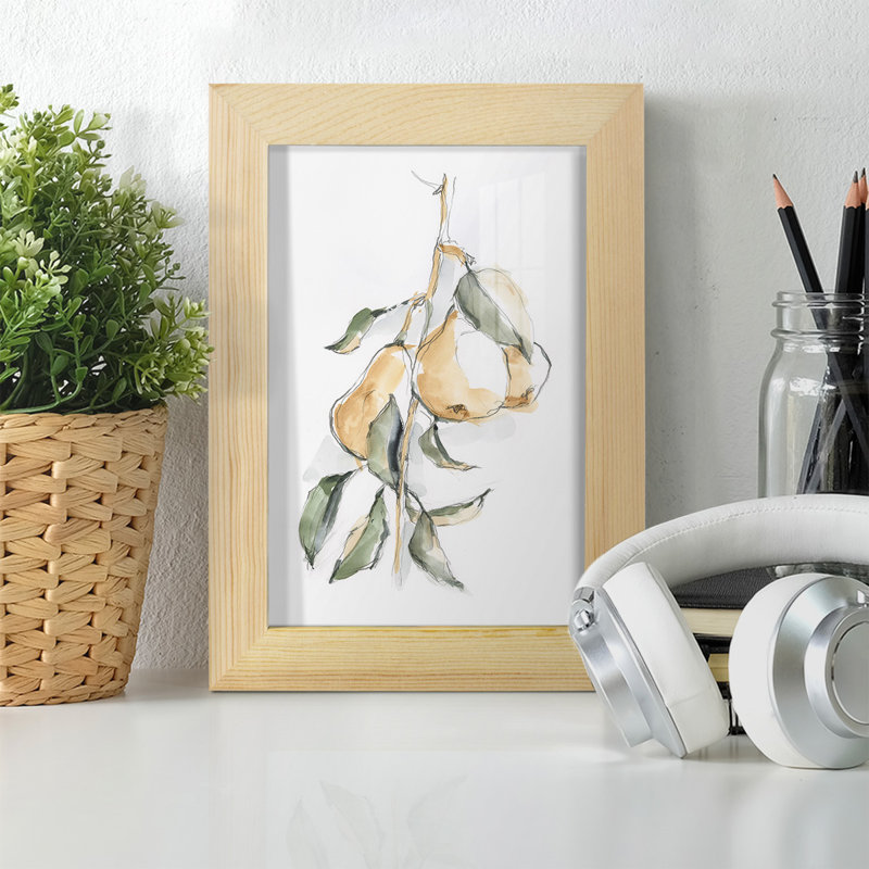 Watercolor Fruit Contour I - reproduction d'art sur toile, H 7 po x l 5 po x P 1 po, Papier encadré naturel