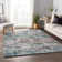 Premium Machine Washable Driessen AMF66 Multi Rug