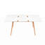 Extendable Dining Set-133044046