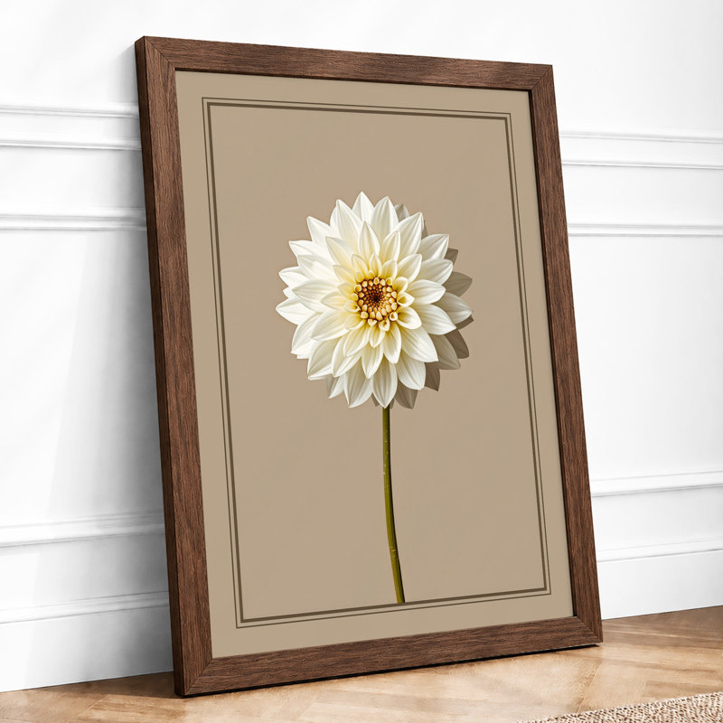 White Dahlia Study Botanical - Print, Walnut, A1 - 84.1 x 59.4 cm