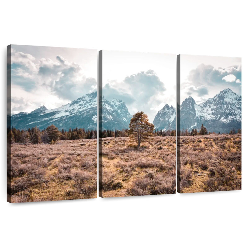 Alvord montagnes enneigées de Grand Teton, H 32 po x l 50 po