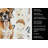 Boxer Coffee Bar Kitchen Towel-1168063478