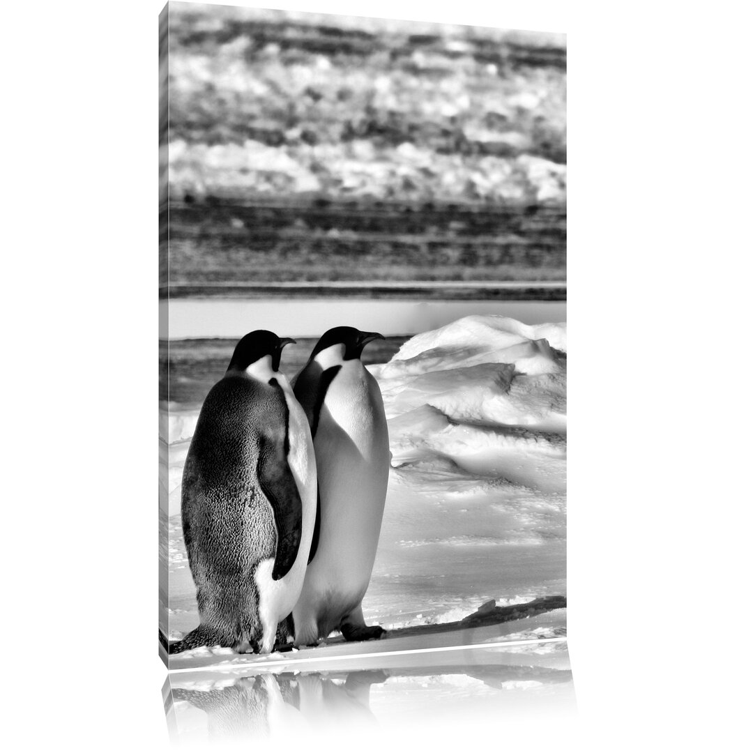 Leinwandbild Zwei Kaiserpinguine auf Eisscholle in Monochrom