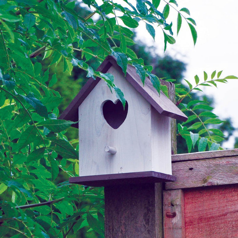 Gutshall Mounted Birdhouse