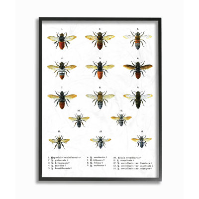 " Bees Scientific " by Lettered And Lined