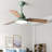 Janovia 48'' Ceiling Fan with LED Lights-1118487064