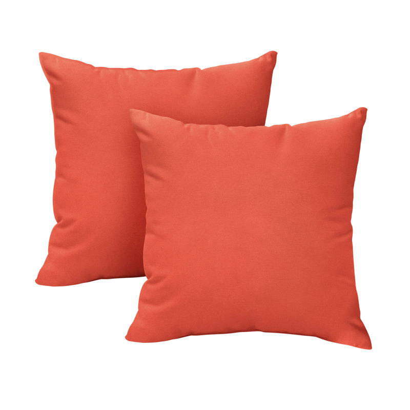 Seaberg Outdoor Pillow Cover & Insert, 24" x 24"