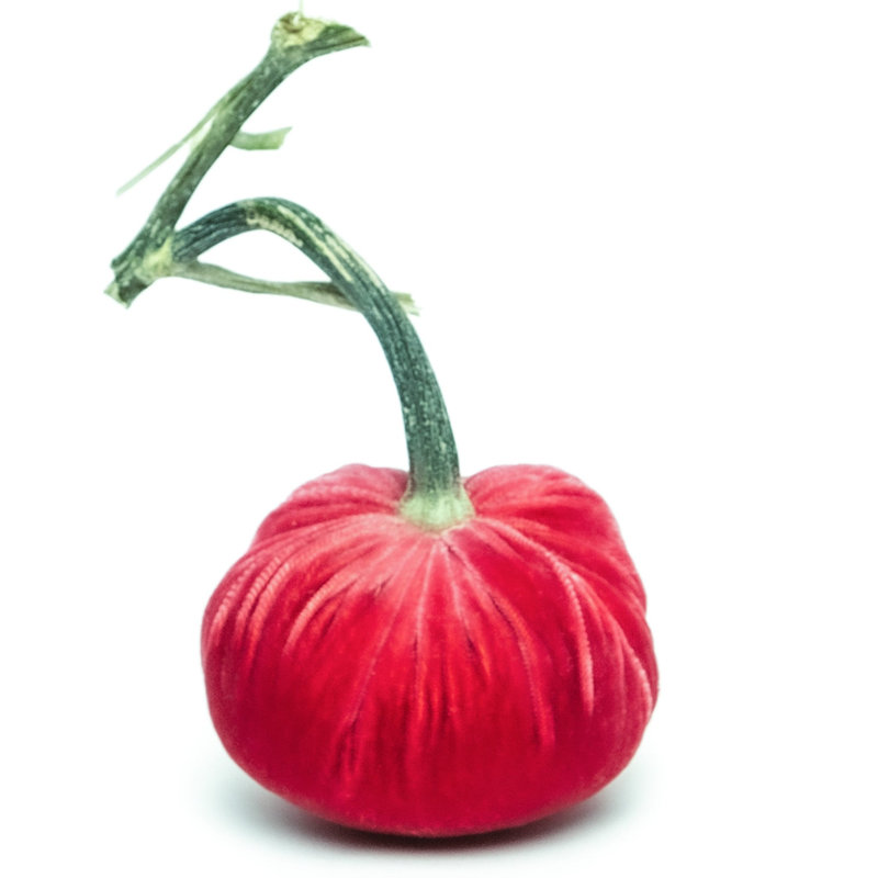 Guava Silk Velvet Pumpkin, 4" H x 2.5" W x 2.5" D