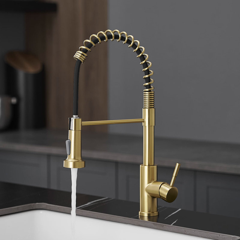 Robinet de cuisine à un trou avec douchette extractible et robinets d'évier de cuisine à poignée simple, Or brossé