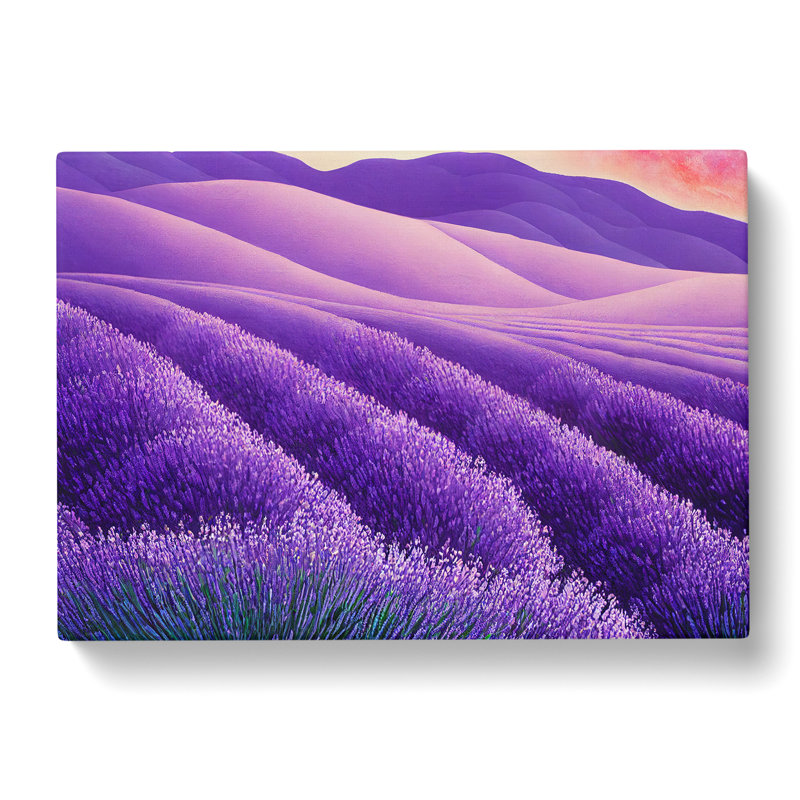 Spellbinding Lavender Flower Field - Wrapped Canvas, 35cm H x 50cm W x 3cm D