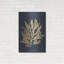 Luxe Wall Art «Pacific Sea Mosses 1 Indigo» par Wild Apple Portfolio, 24 po x 36 po-447040408
