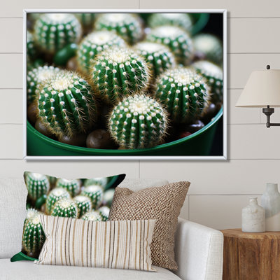 «Green Beige Cactus Desert Jewels Mammillaria I», reproduction sur toile