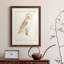 Barn Owl Premium encadré mat - prêt à accrocher-1890251785-1890251786