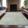 Machine Washable Indoor/Outdoor Xhevrie Aloe Rug