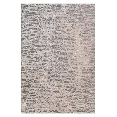 Aicha Moroccan Indoor / Outdoor Area Rug