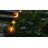 Electric Pathway Lights with 8 LED Bulbs-32756946