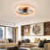 Frauly 19.7 Inch Led Enclosed Low Profile Ceiling Fan With Light