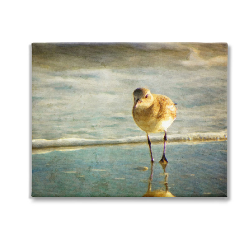 «Stepping Sandpiper at Shore», art mural sur toile par GraffiTee Studios, H 16 po x l 20 po