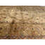 Oriental Area Rug