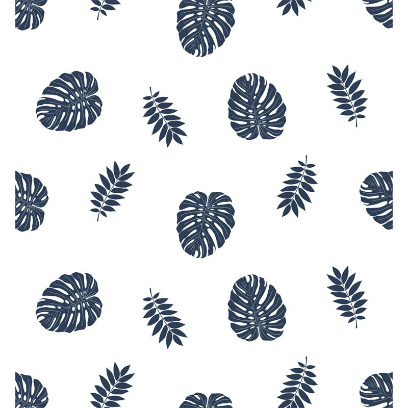 Latiqua 2.5m x 1.04m Matte Mural, 290 x 290cm