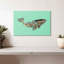 Baleine vive Brampt-107868604