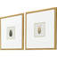 Beetles S/2 Print by Nai Paragon