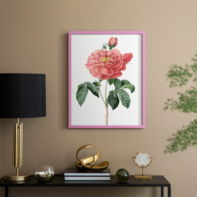 «Botanical Beauty III», reproduction encadrée - bois massif