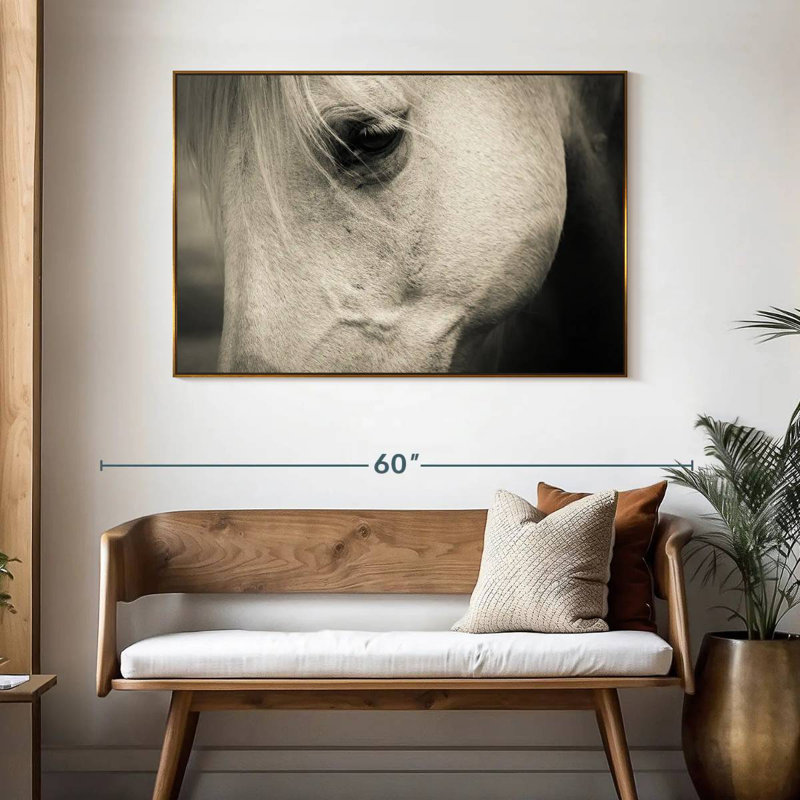 White Horse Eye, 46" X 31", Floating Frame Gold