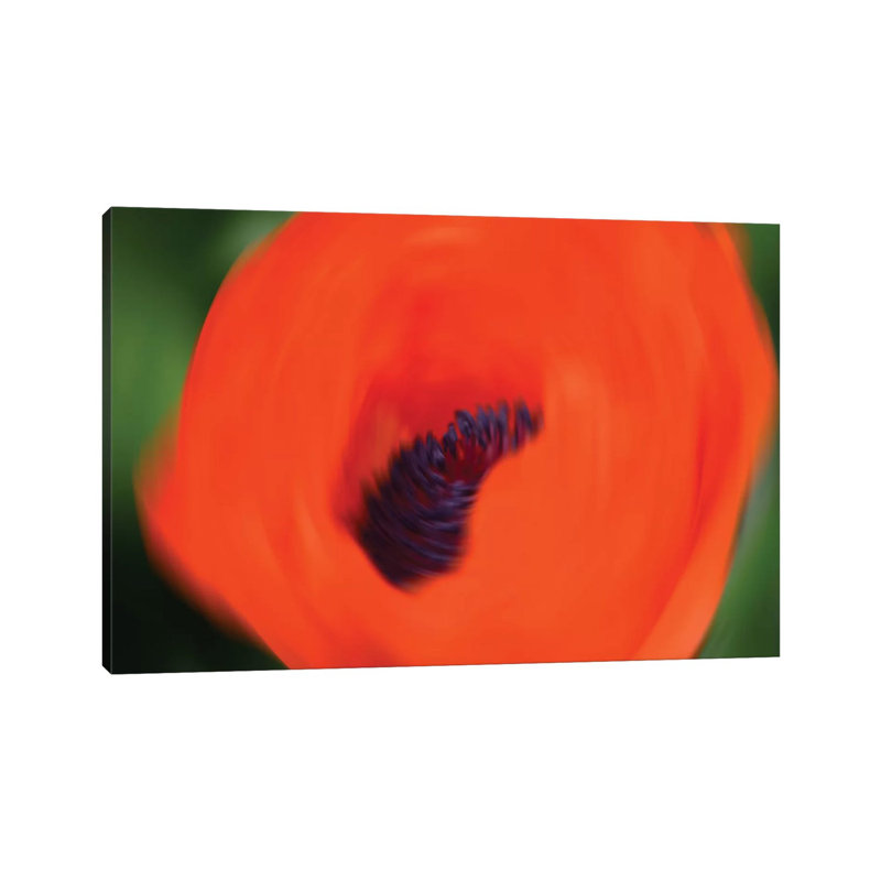 Orange Poppy by Savanah Plank - Gallery-Wrapped Canvas Giclée on Canvas, 101.6 cm H x 66.04 cm W x 1.91 cm D, Canvas