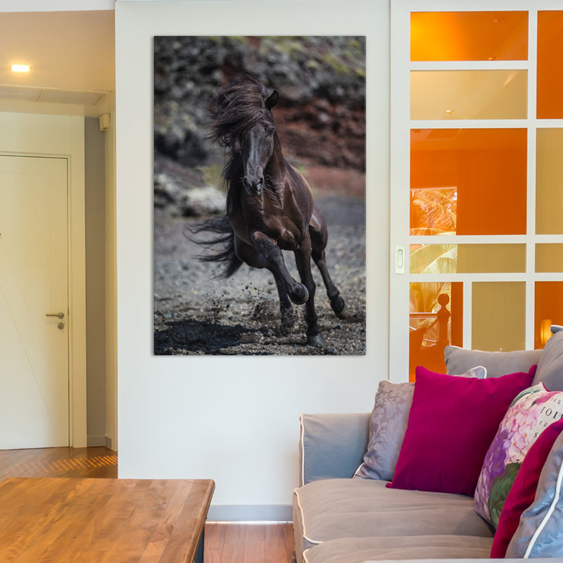 « islandais stallion ii », reproduction de photo sur toile tendue, H 12 po x l 8 po x P 0,75 po, Pas de tapis, Toile tendue