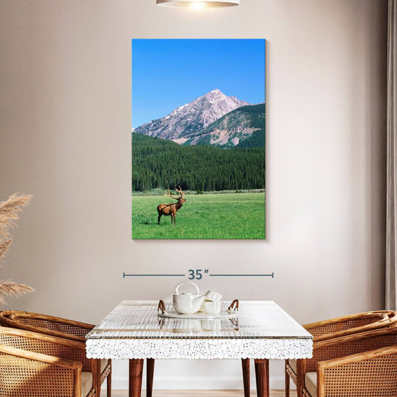 Brampt Coyote Valley Elk, 48" H x 32" W