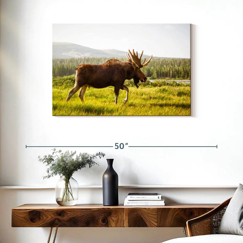 Crowle Grazing Wild Moose, 24" H x 36" W