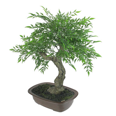 16" Green Mini Maple Artificial Bonsai Tree in a Brown Pot