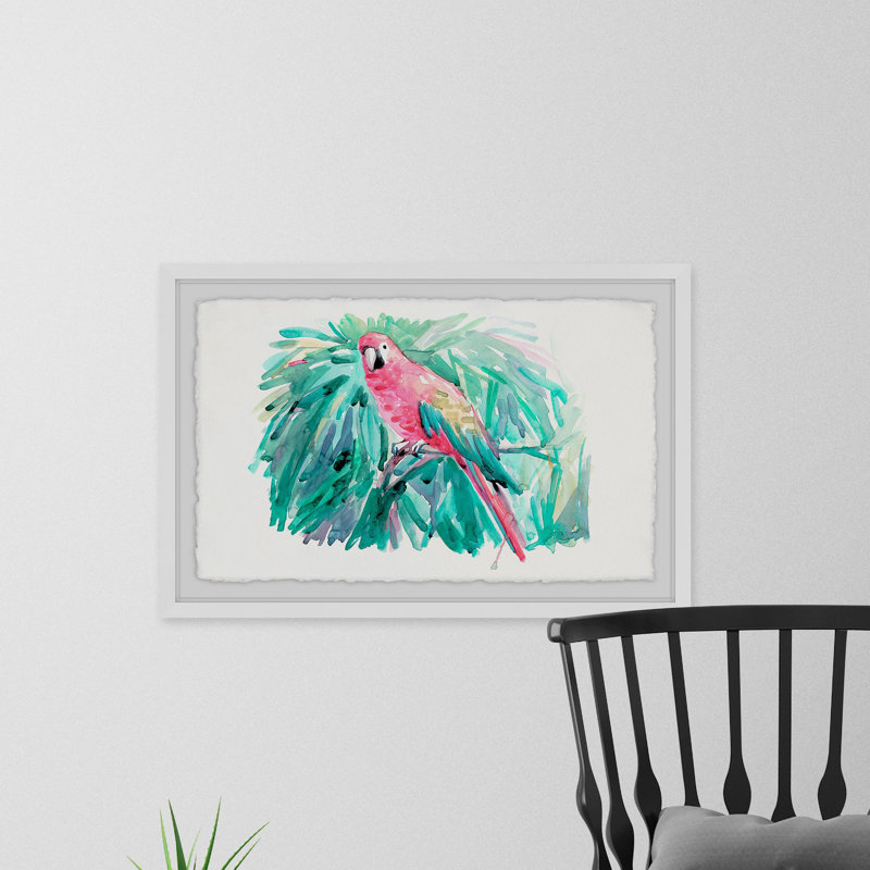 Pretty Parrot - Single Picture Frame Print, 30cm H x 45cm W