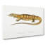 Yellow Monitor Lizard by John Edward Gray - Wrapped Canvas-55320166